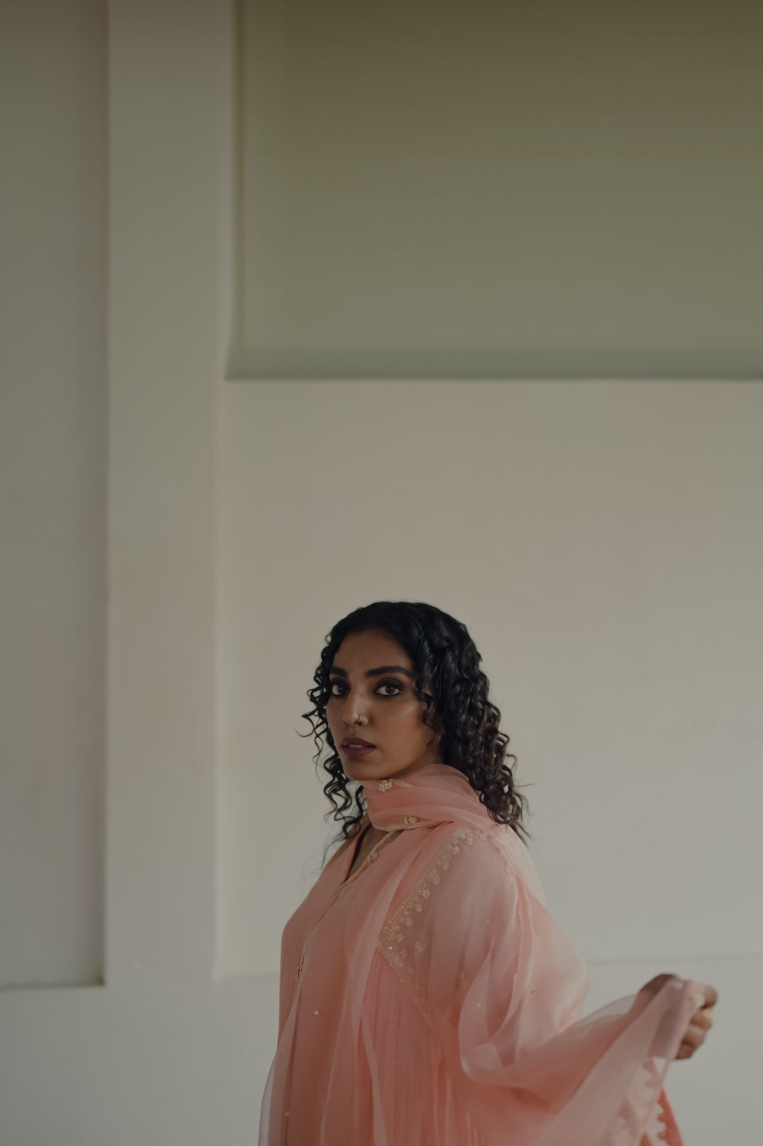 Peach Chanderi and Organza Kurta Set - Zuleiha