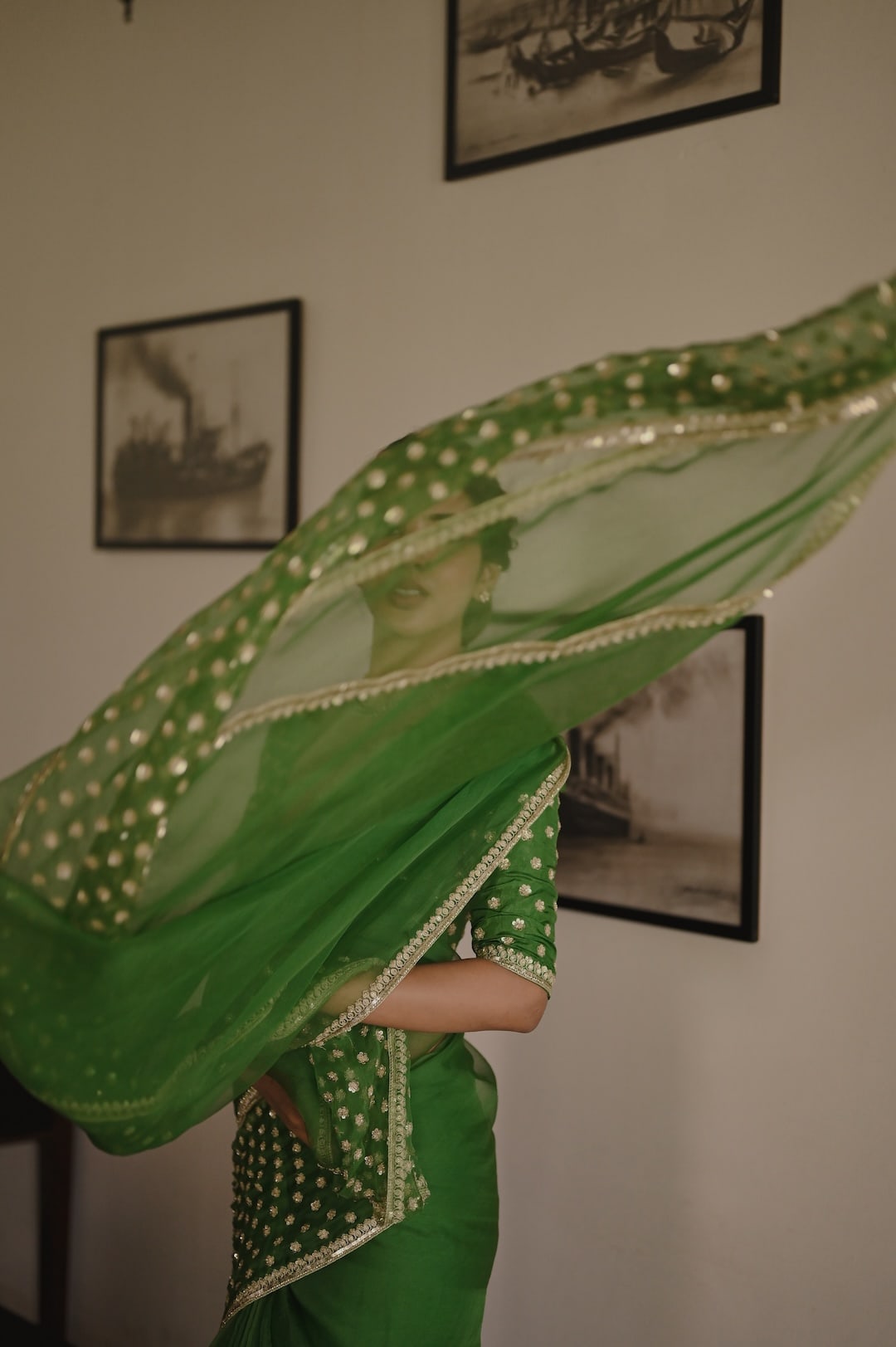 Begum Meher Saree - Zuleiha