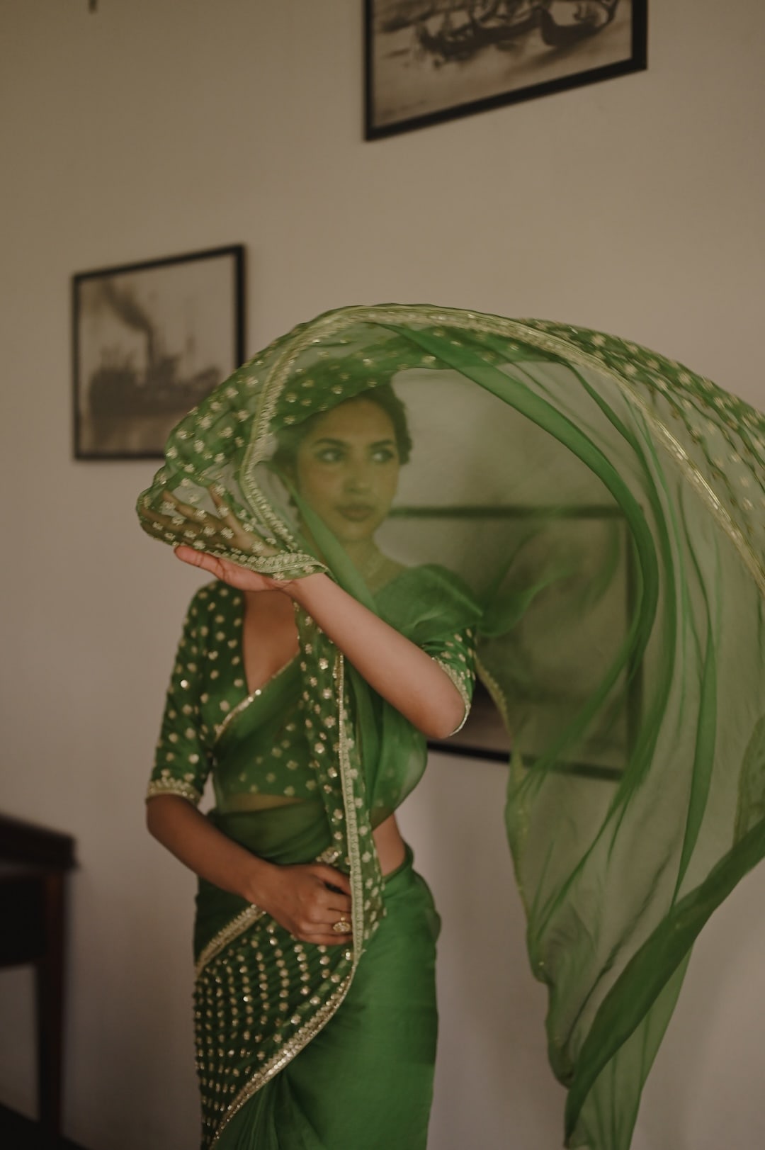 Begum Meher Saree - Zuleiha