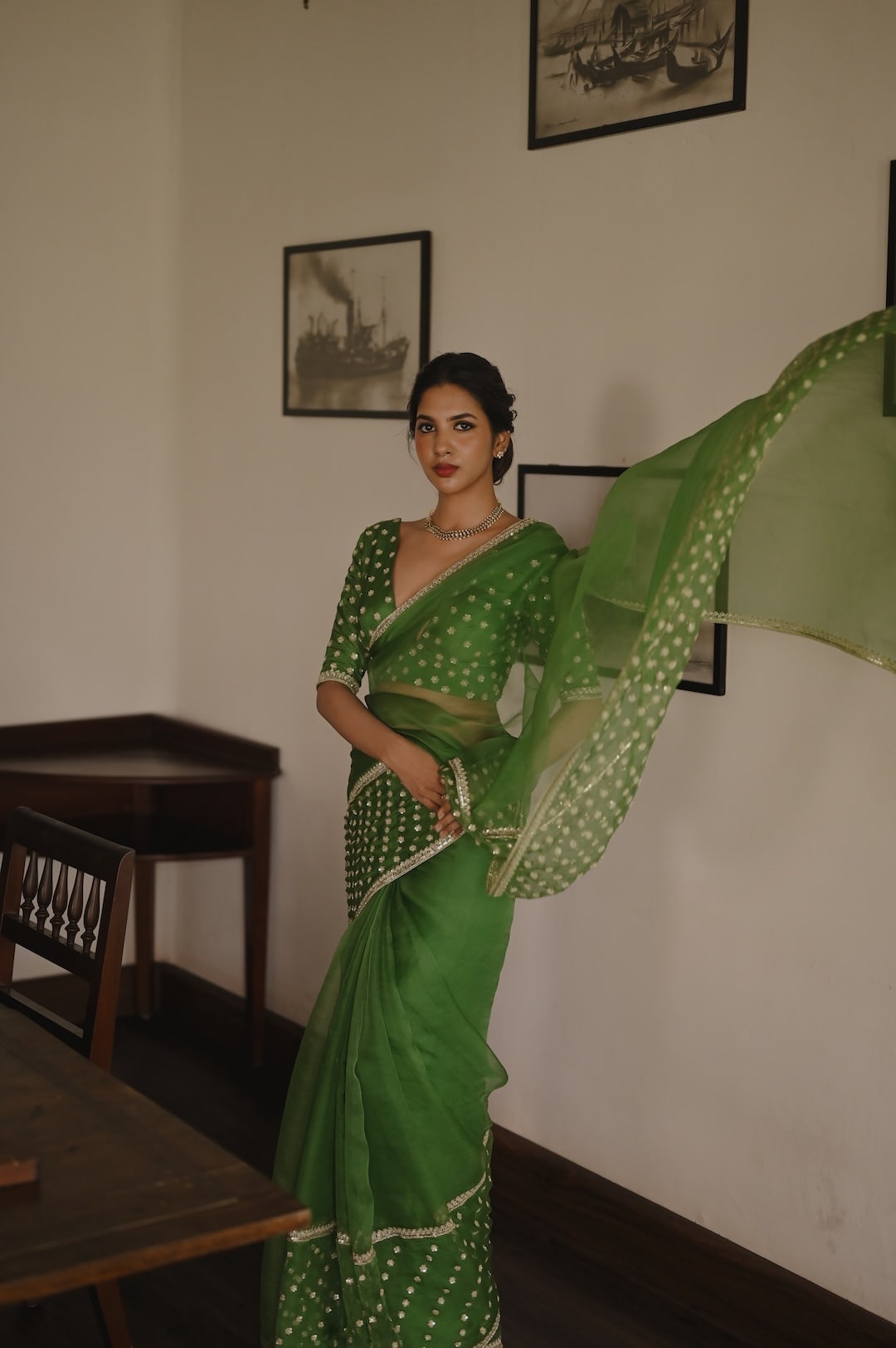 Begum Meher Saree - Zuleiha