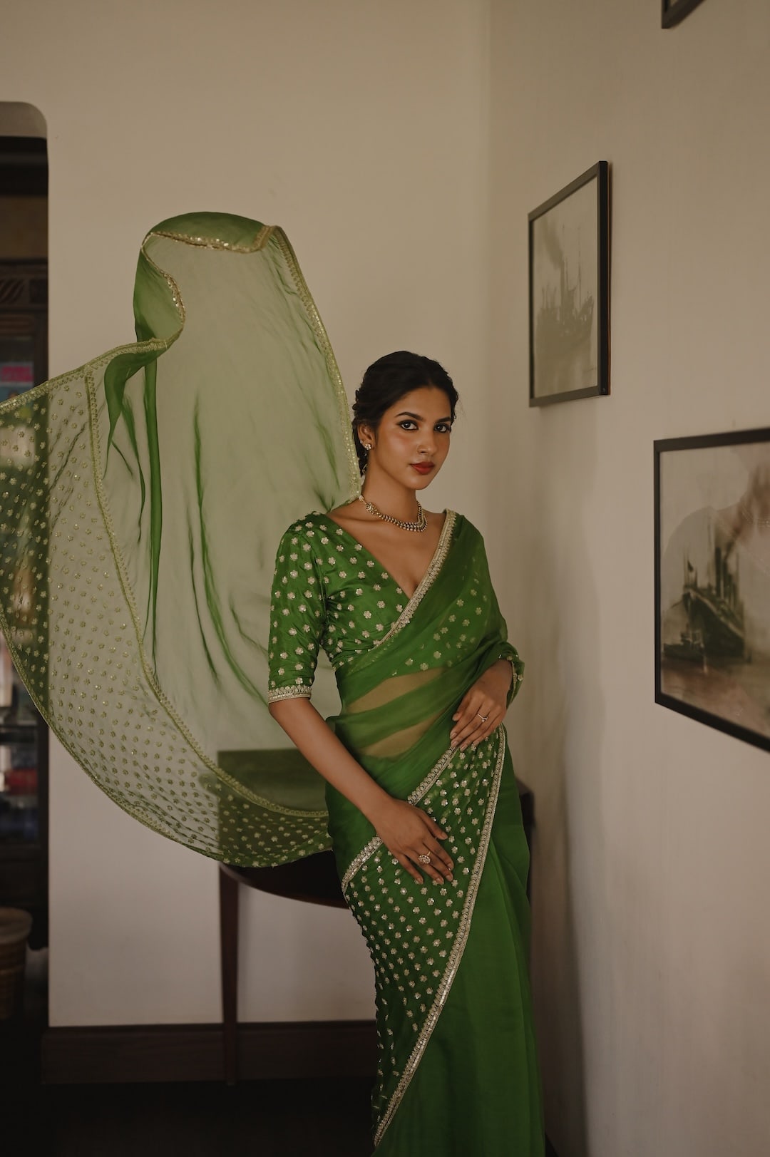 Begum Meher Saree - Zuleiha