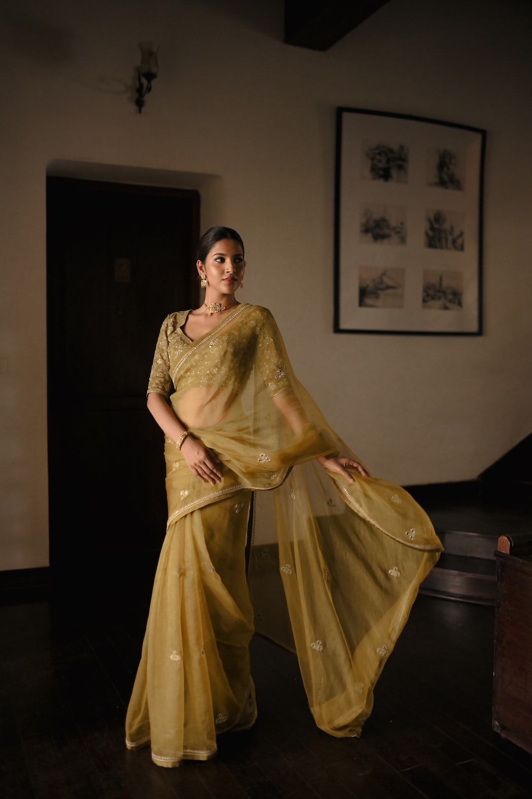 Begum Zehriya Saree