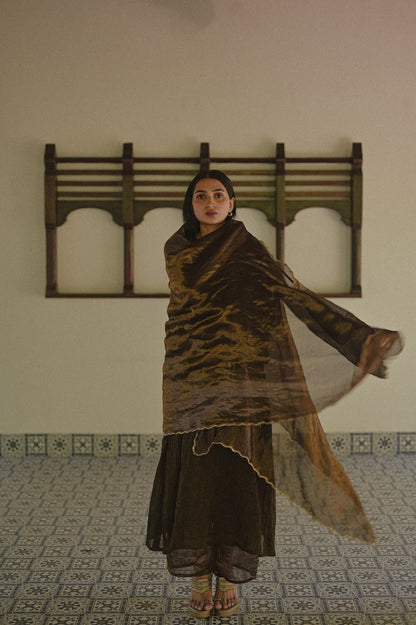 Black Chanderi Tissue Kurta Set - Zuleiha