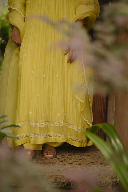WildFlower Yellow - Zuleiha
