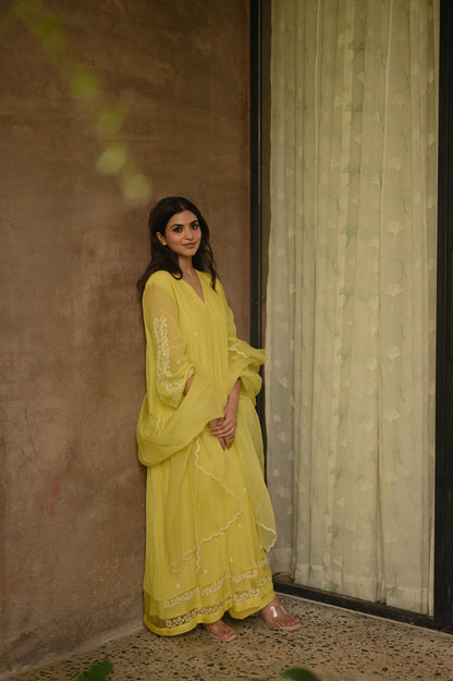 WildFlower Yellow - Zuleiha
