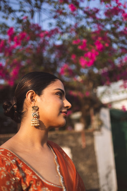 Nikhila Vimal in Burnt Orange Saree and Blouse - Zuleiha