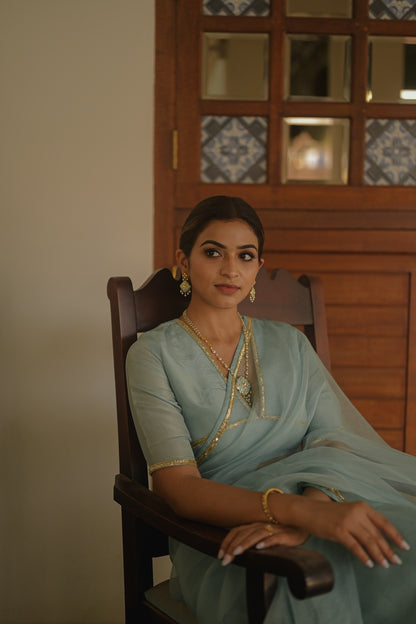 Blue Organza Saree with silk blouse - Zuleiha