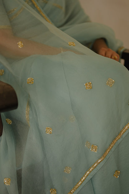 Blue Organza Saree with silk blouse - Zuleiha