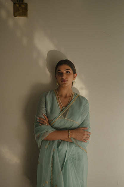 Blue Organza Saree with silk blouse - Zuleiha
