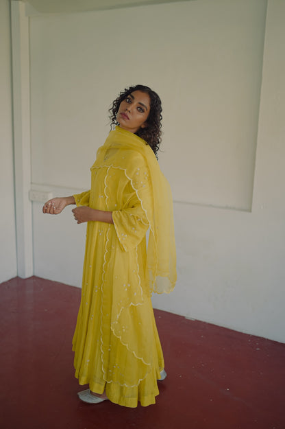 Yellow chanderi and organza kurta set - Zuleiha