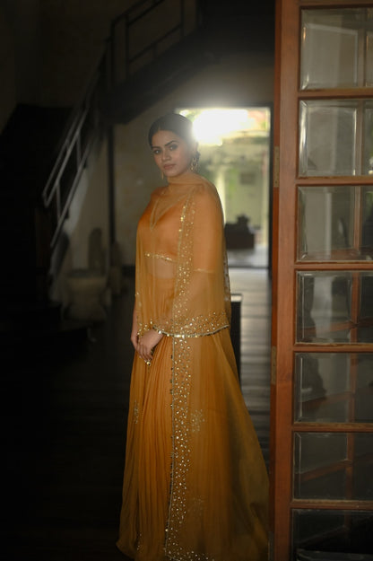 Begum Sunehri Lehenga - Zuleiha